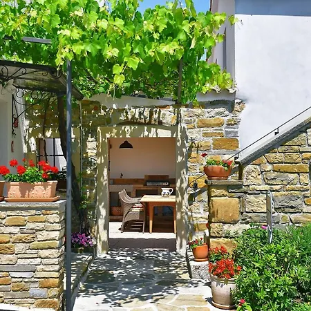 House With Wifi Paz, Istria - Sredisnja Istra - 16623 *